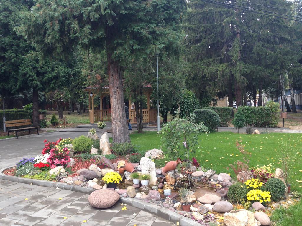 Prenociste Gazela Bed & Breakfast Pirot Exterior photo