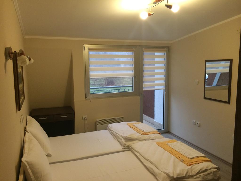 Prenociste Gazela Bed & Breakfast Pirot Room photo